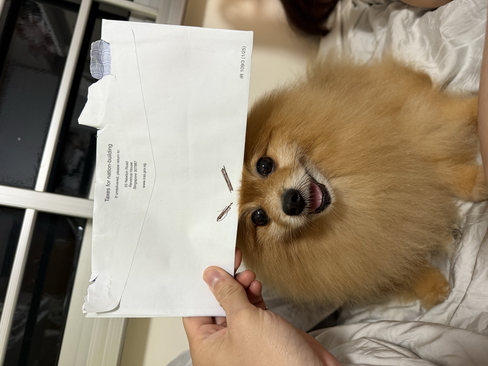 Darson Tan Ben Ben in an improvised paper disguise